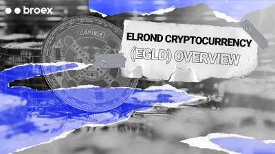 Elrond cryptocurrency (eGLD) overview: price forecast in 2022
